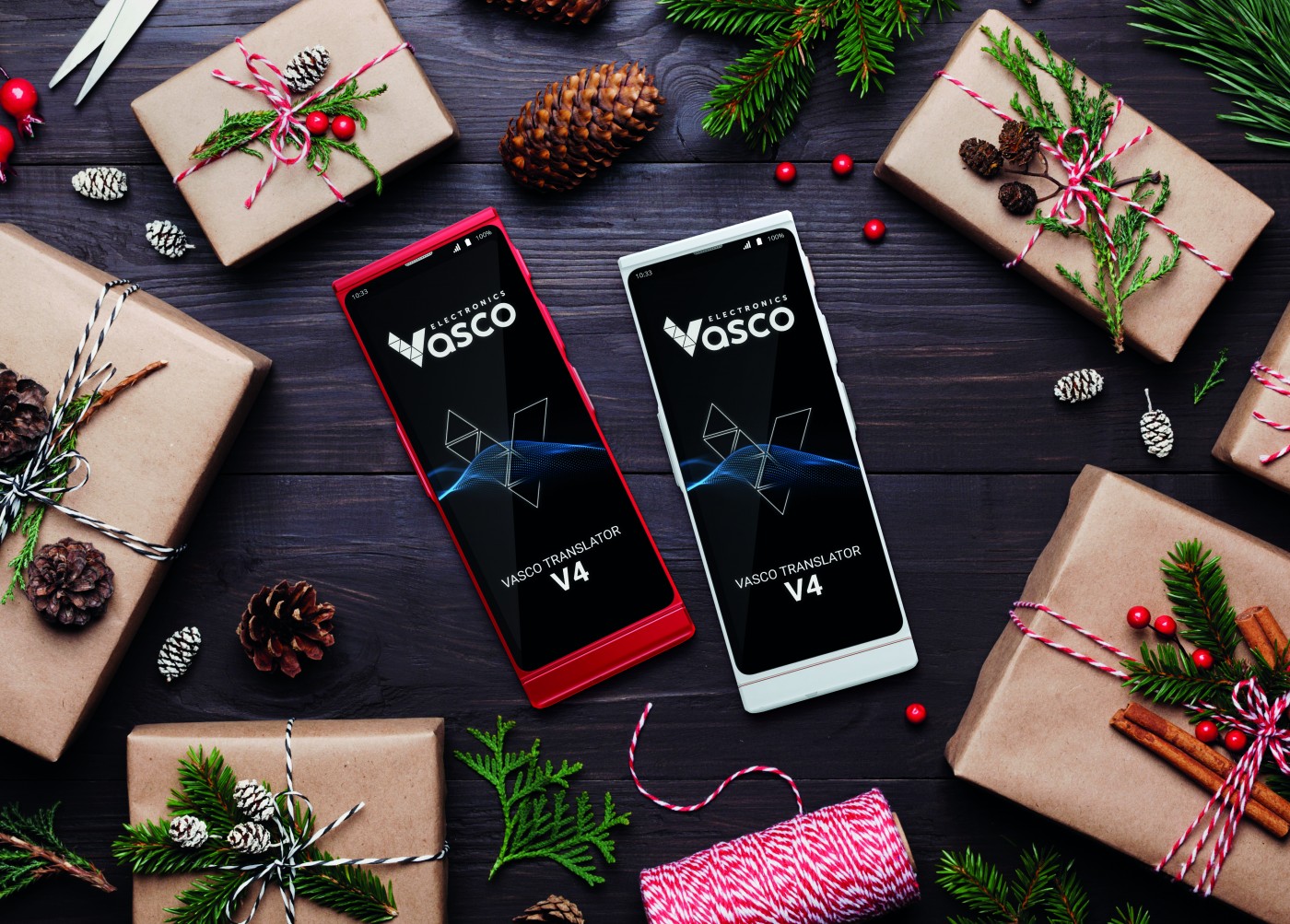 VASCO TRANSLATOR V4