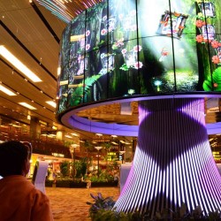 Singapore’s Changi Airport Named World’s Best - 4
