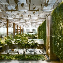 Singapore’s Changi Airport Named World’s Best - 5